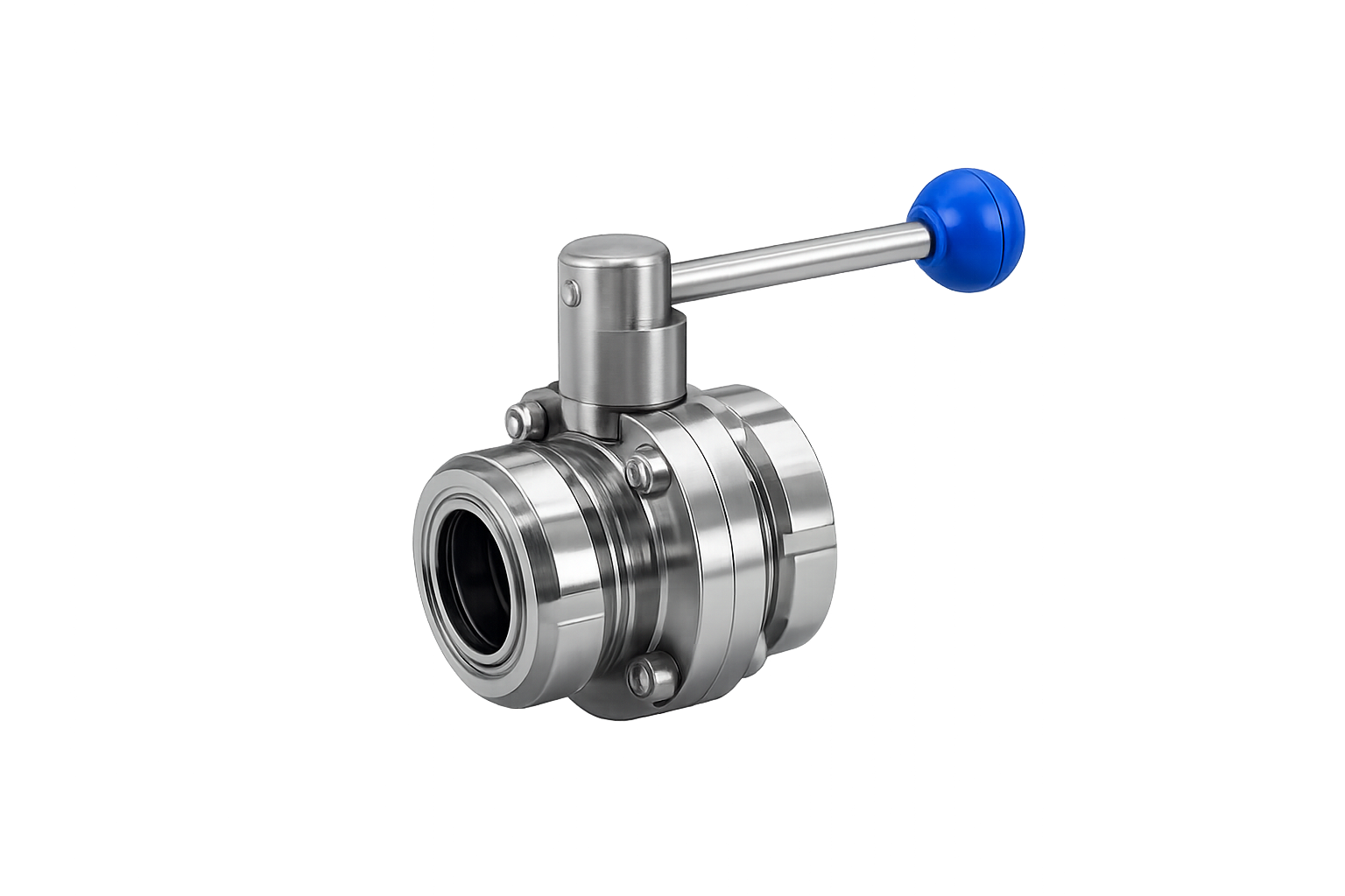 SMS Union Butterfly Valve