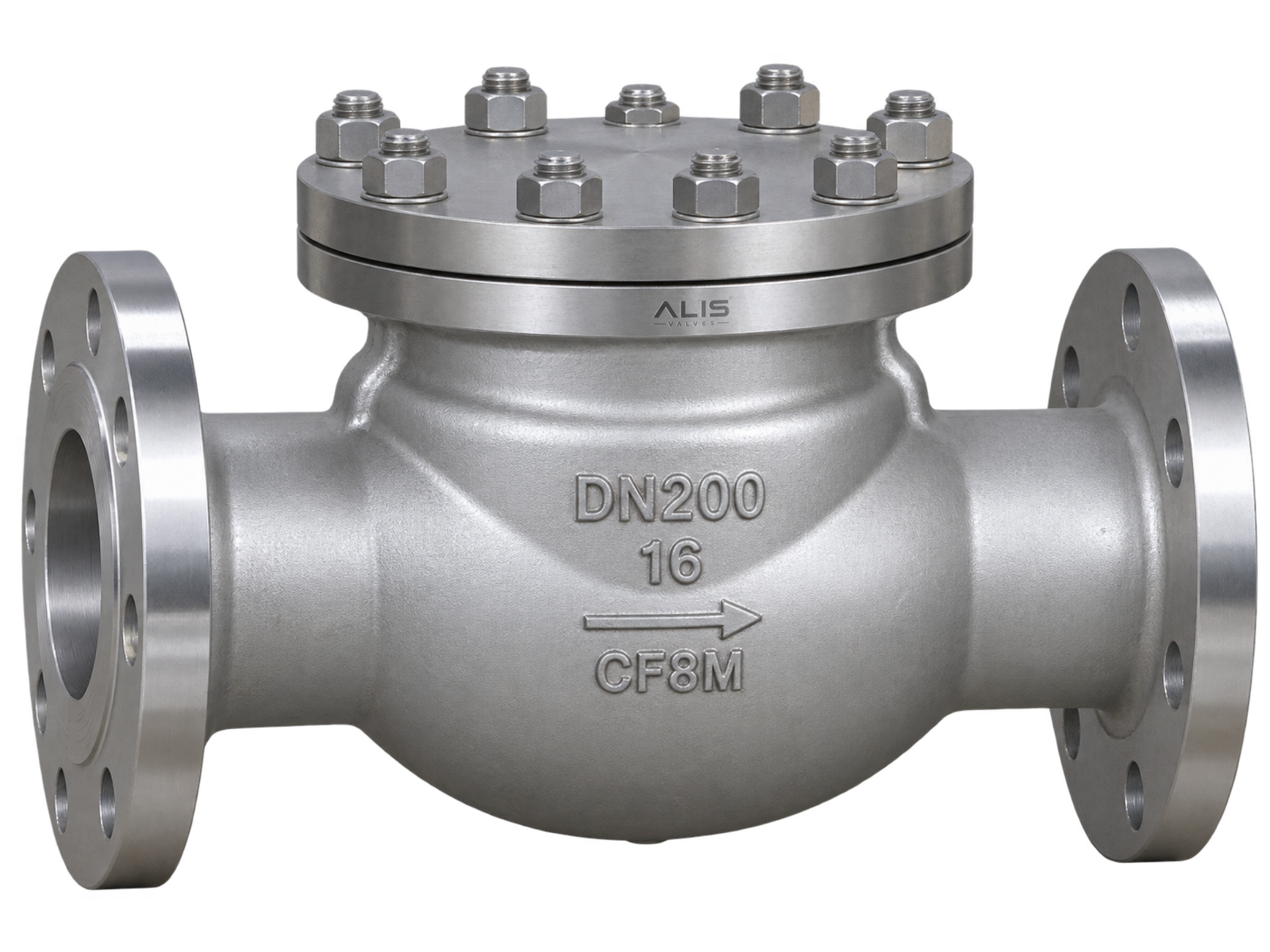 Swing Check Valve