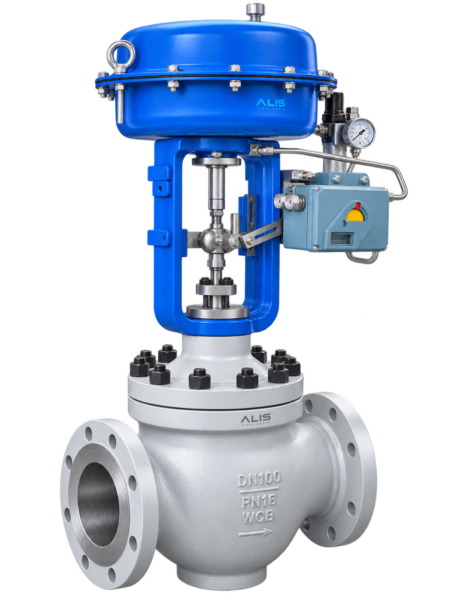 Cage Guided Globe Control Valve