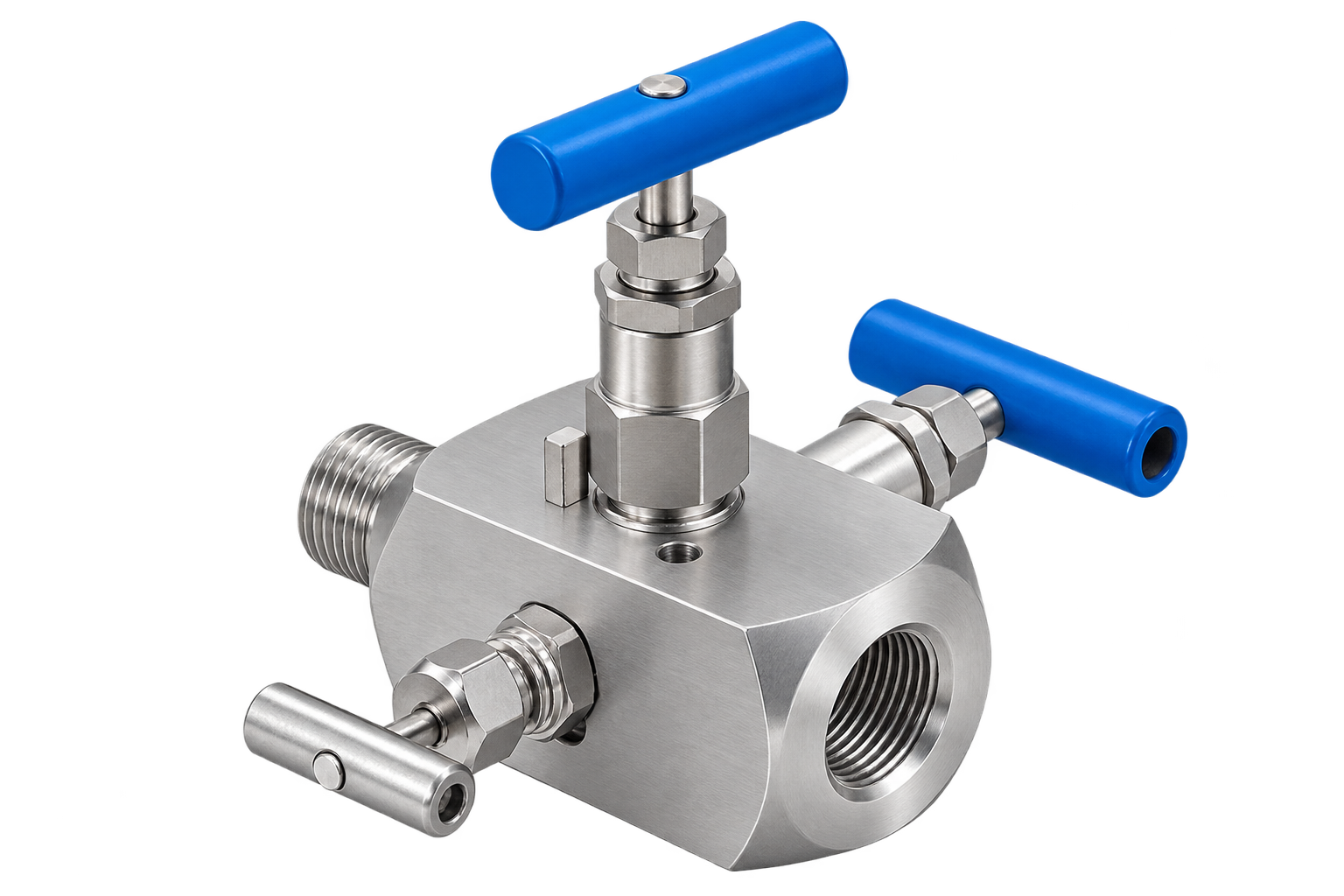 Instrumentation Double Block and Bleed (DBB) Valve