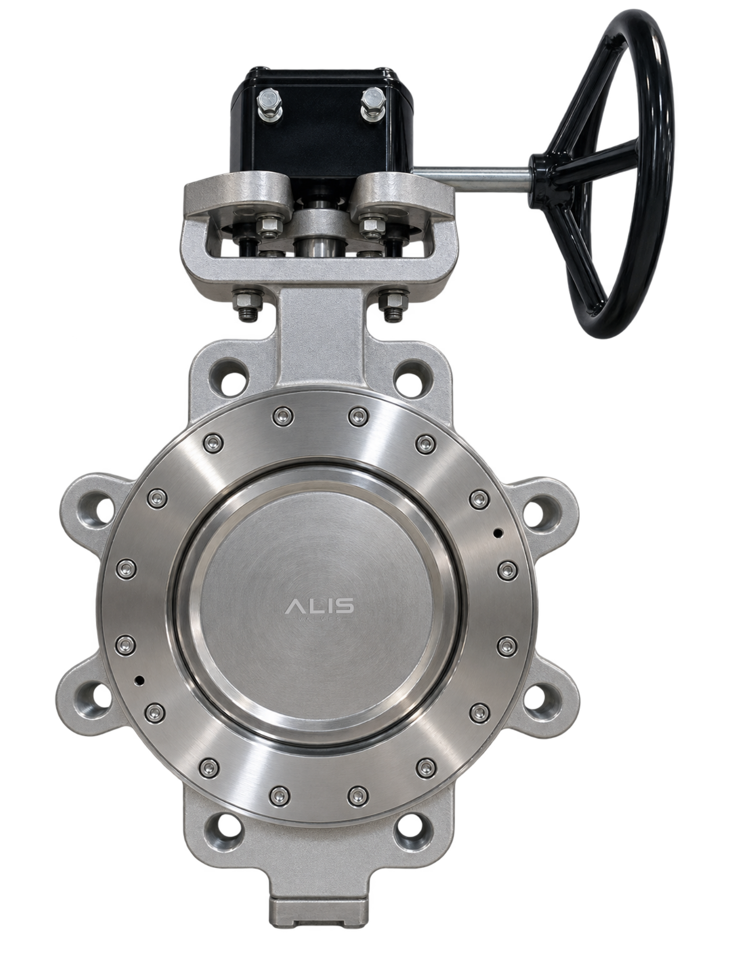 Lug Type Double Offset Butterfly Valve
