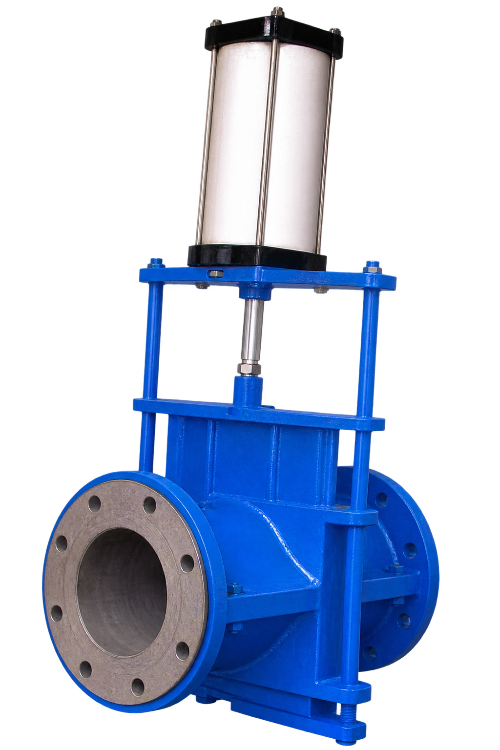 Pneumatic Pinch Valve