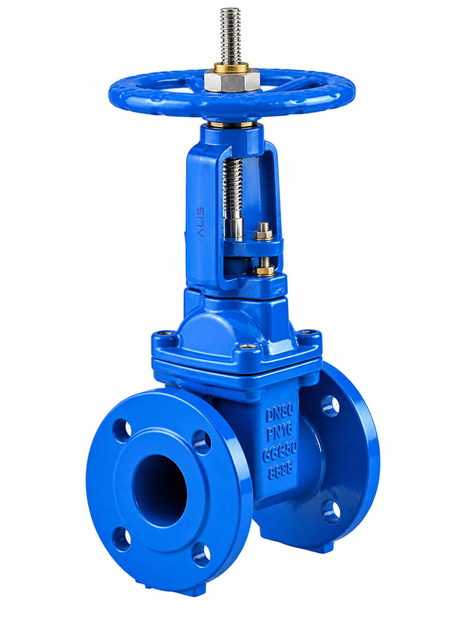 Rising Stem Gate Valve
