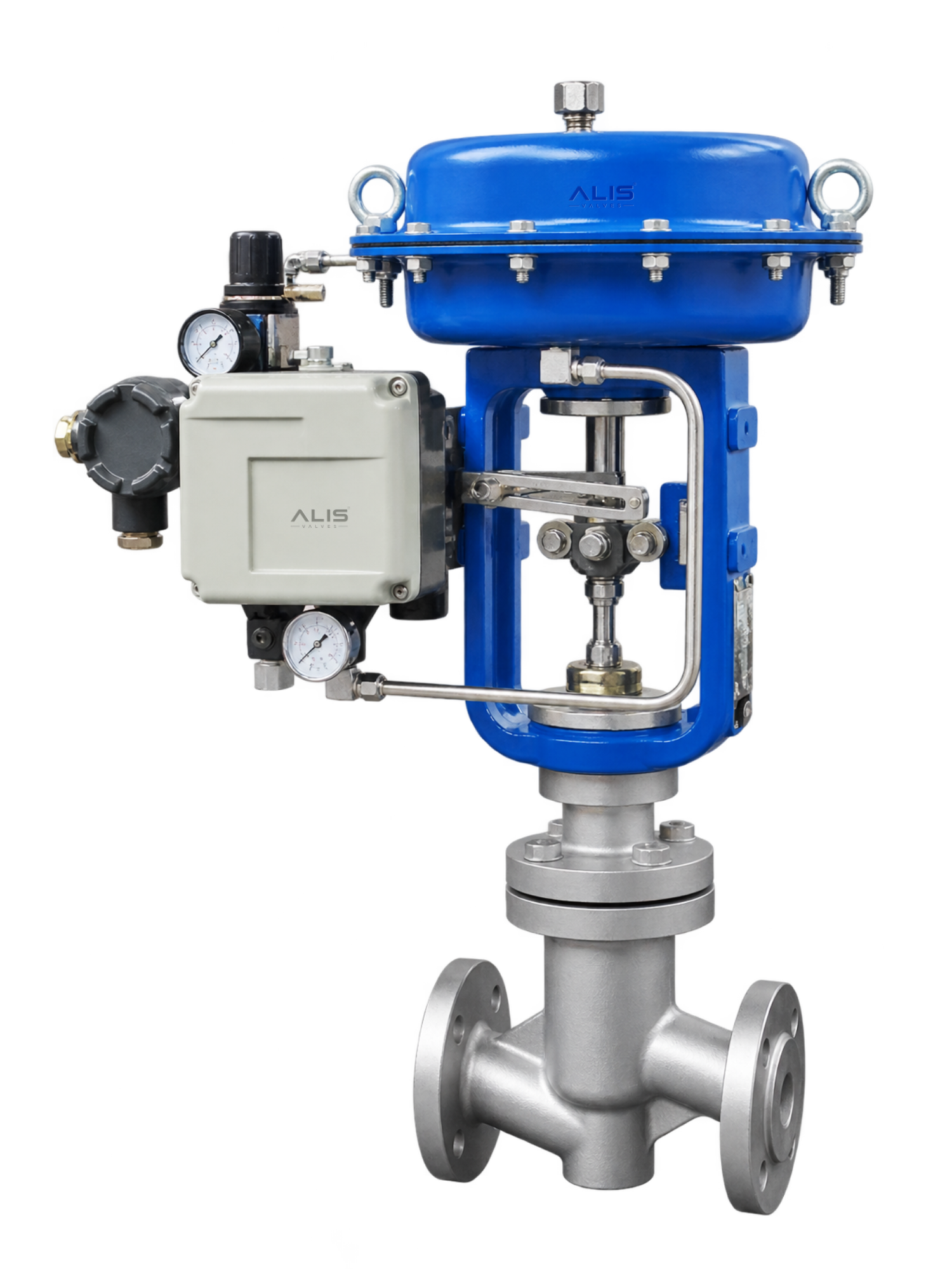 Single Seated Lined Control Valve