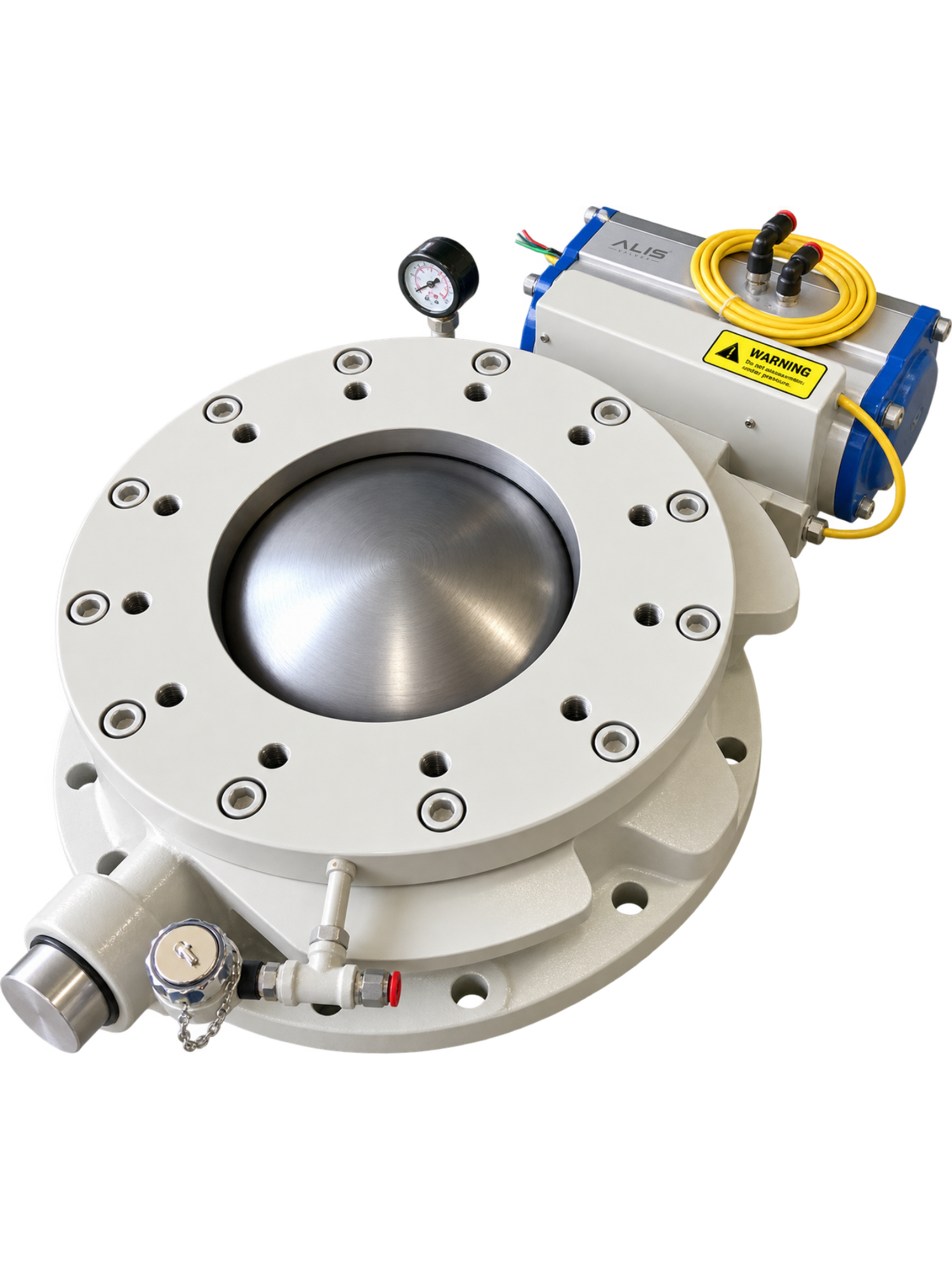 Standard Dome Valve