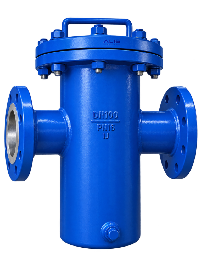 T Type Strainer